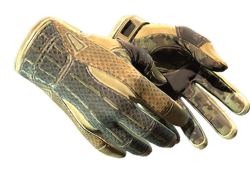 ★ Sport Gloves | Arid